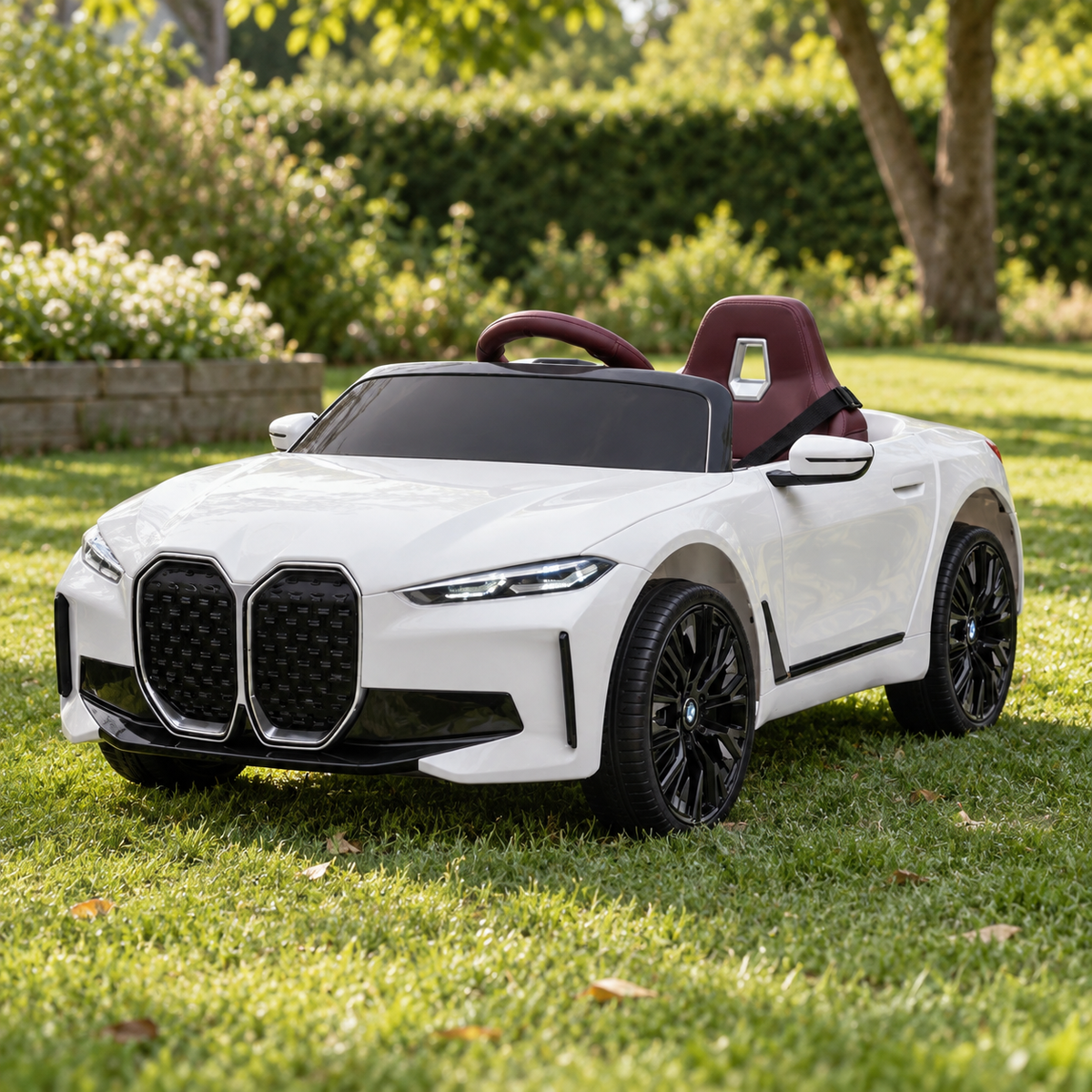 Voitures & SUV Image