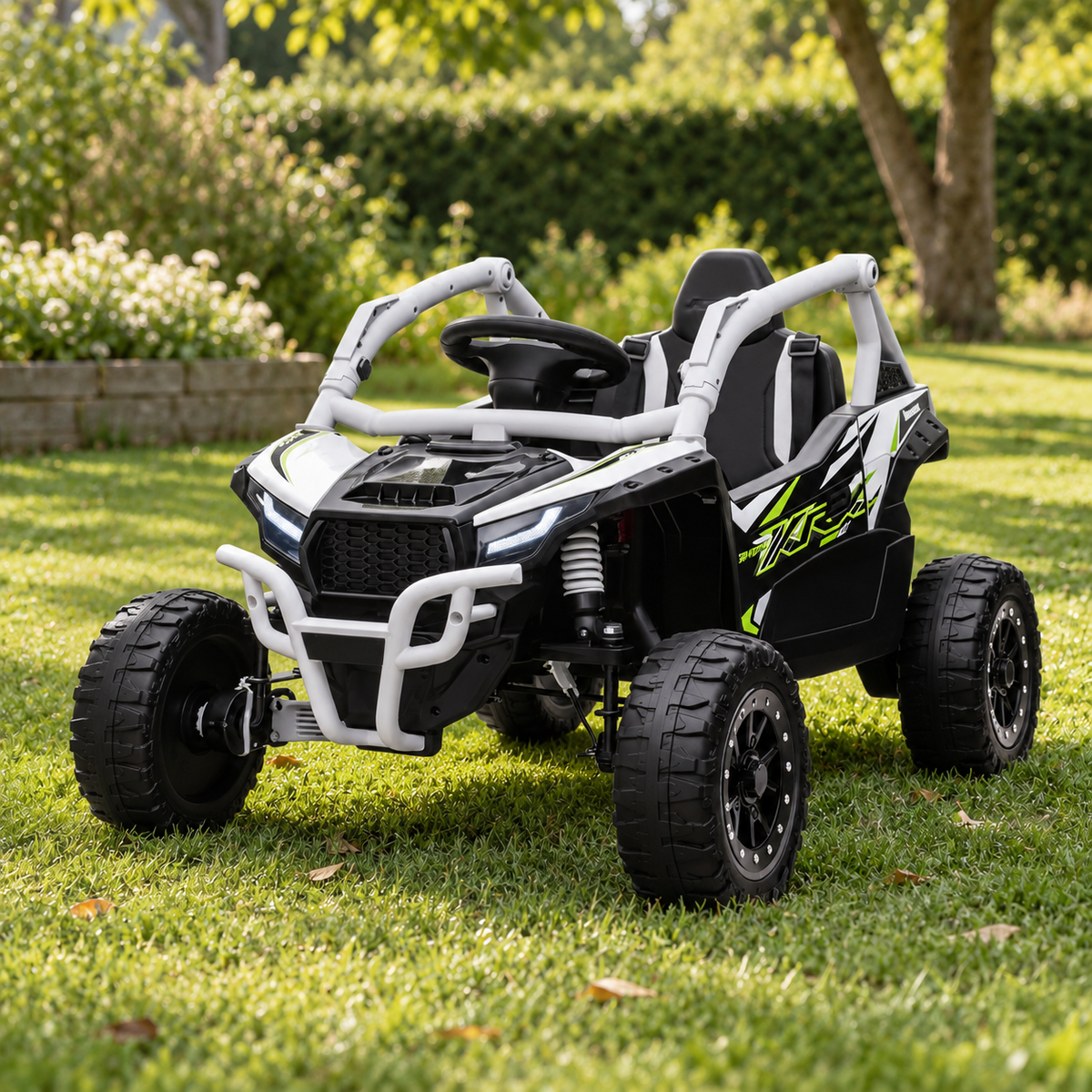 Buggys & 4x4 Image